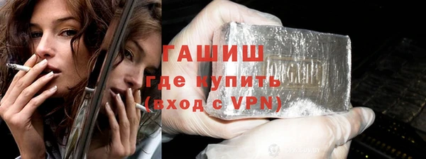 твердый Гусев