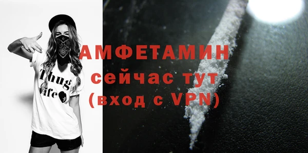 твердый Гусев