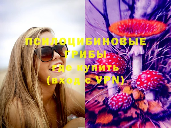 твердый Гусев