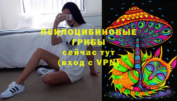 амф Дмитровск
