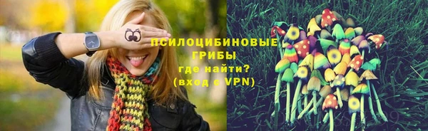 spice Гусиноозёрск
