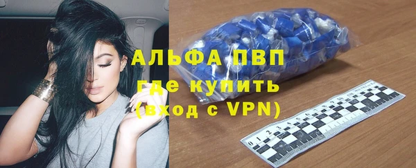 твердый Гусев