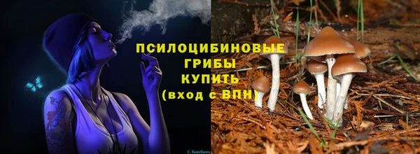 трава Дмитриев