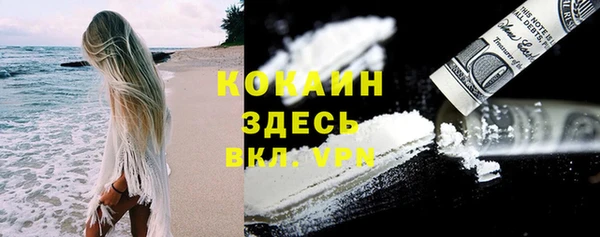трава Дмитриев