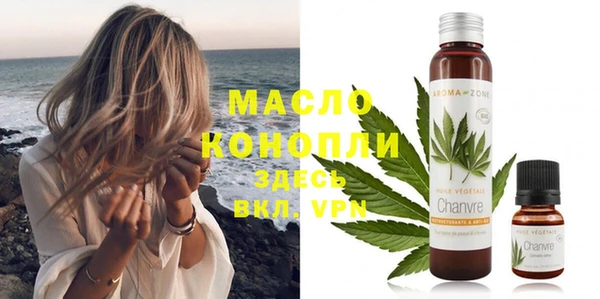 твердый Гусев